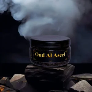 Ayaz Oud Al Aseel Premium Quality | Arabic Bakhoor Wooden Chips | Long Lasting Aroma Smell Pure Woody and Spicy Arabic Notes (40, Set of 1)